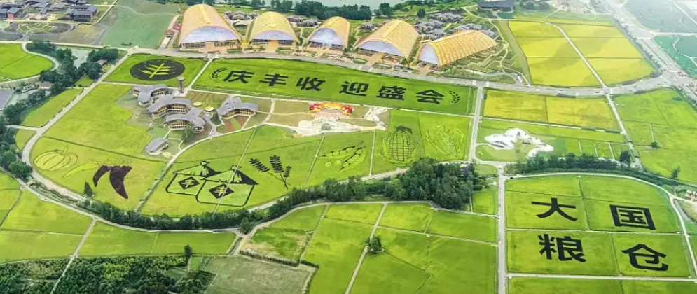 第五个中国农民丰收节|易游官方网站携农产品品质成分低场核磁快速分析仪 亮相天府农博园